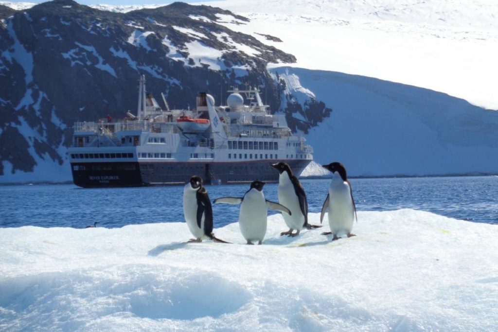 Antarctic Welcoming Comittee
