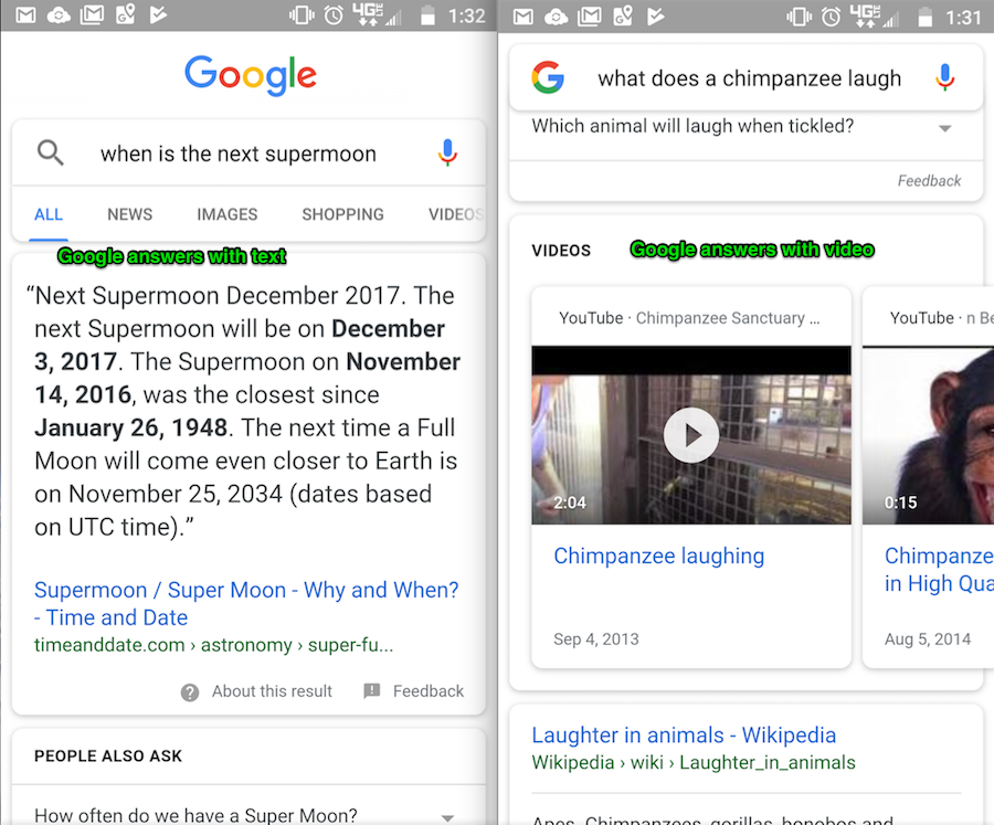 Text search vs. video search