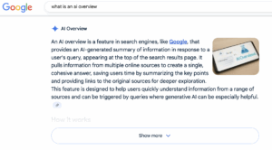 Example of an AI Overview